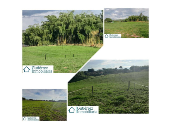 Venta de Lotes campestres, sector Morelia – Pereira