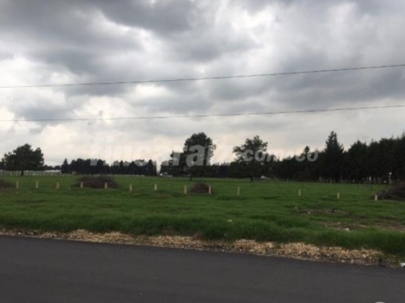 SE VENDEN 38.000 m2. CON USO DEL SUELO INDUSTRIAL