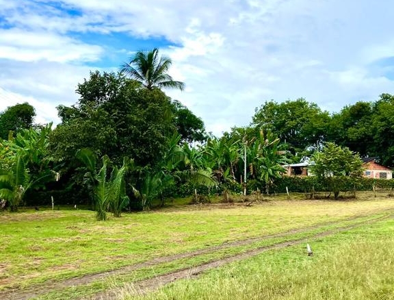 Hermosos Lotes a la venta en Carmen de Apicala