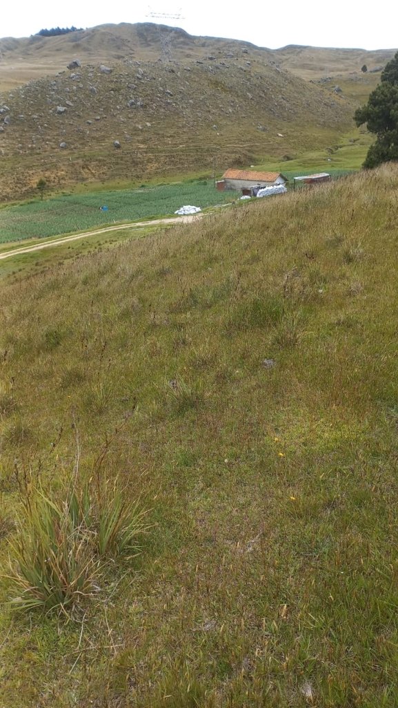Finca en el Paramo de Berlín, Tona