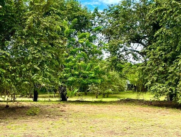 Venta de Lotes en Carmen de Apicala