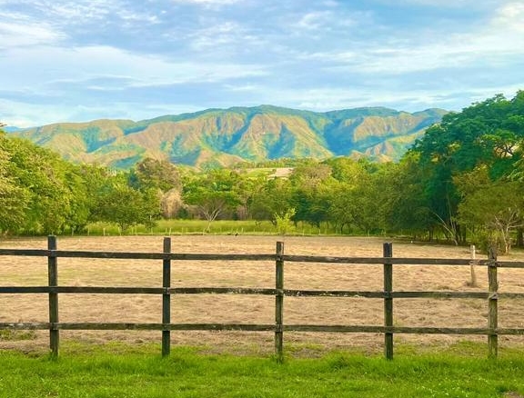 Lotes desenglobados en Carmen de Apicala