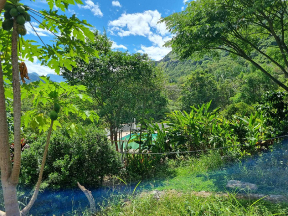 Venta de Finca de 8 hectáreas y media – Melgar