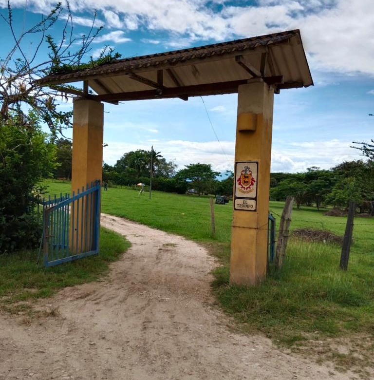 Lotes a 3 minutos del Carmen de Apicala