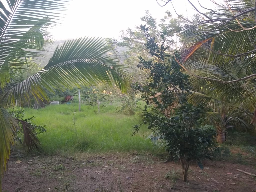 Finca en Tubará, Atlántico