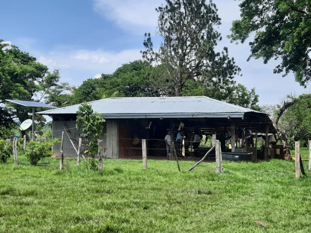 SE VENDE FINCA EN LA PRIMAVERA VICHADA 9.800 HECTAREAS