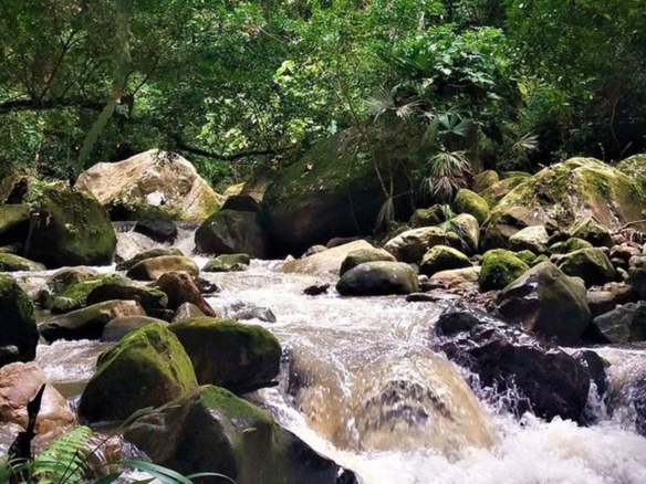Finca Ecoturismo MELGAR