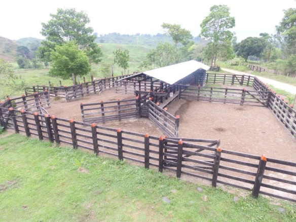 SE VENDE FINCA UBICADA EN CIMITARRA SANTANDER 858 HECTAREAS