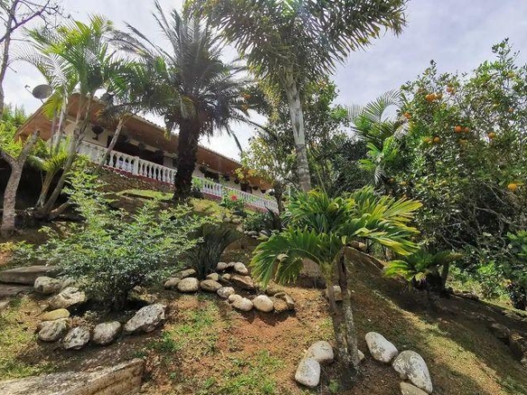 Finca en Felidia via Km 18