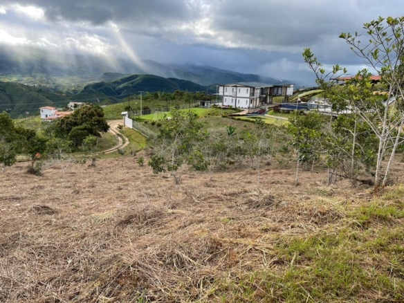 Lote en la parcelación Campestre Hatochico kilometro 30 vía a El Carmen
