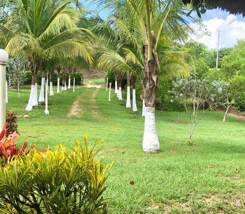 Finca Ubicada antes de Turbaco