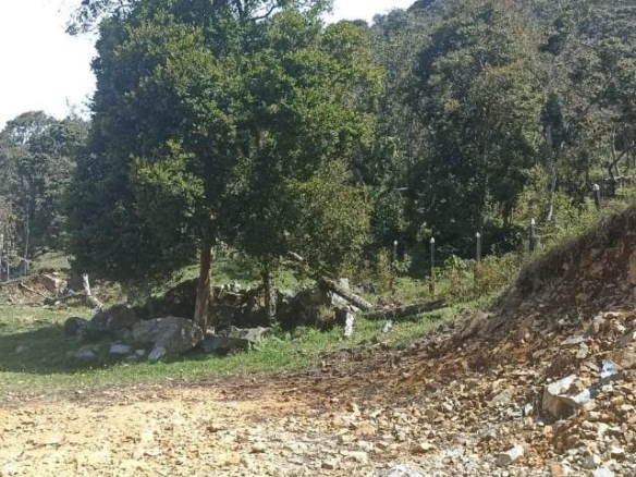 Lote en Corregimiento San Cristóbal vereda el Yolombo