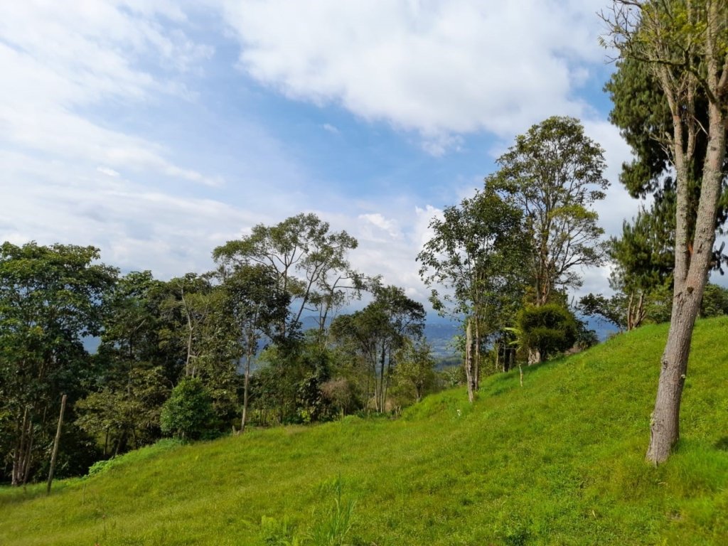Terreno sobre la vía vereda San Miguel, Arbeláez