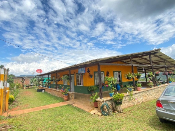 FINCA SAN ANDRES CORREGIMIENTO DE BITACO