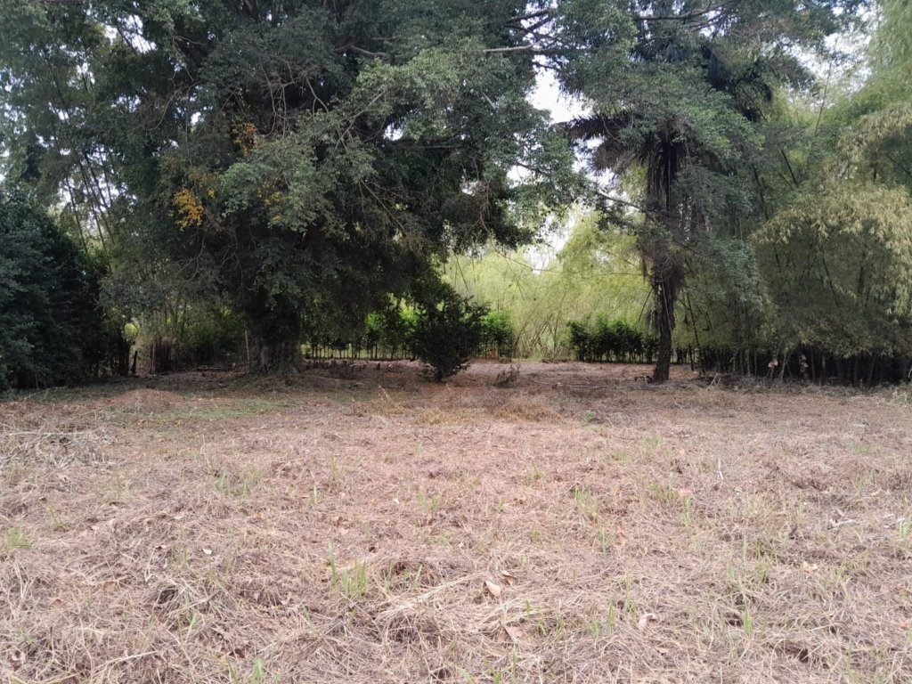 Lote totalmente plano ubicado en la vía entre Cali y Santander de Quilichao