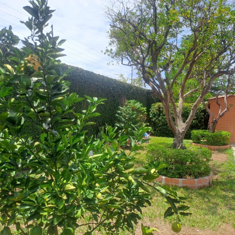 Casa en Condominio Tangelos de Verde Alfaguara