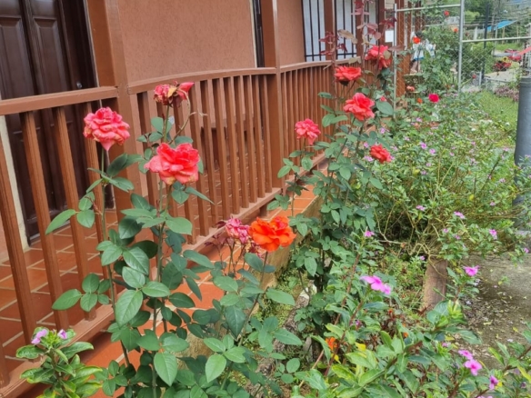 Casa en Borrero Ayerbe tambien llamado KM 30