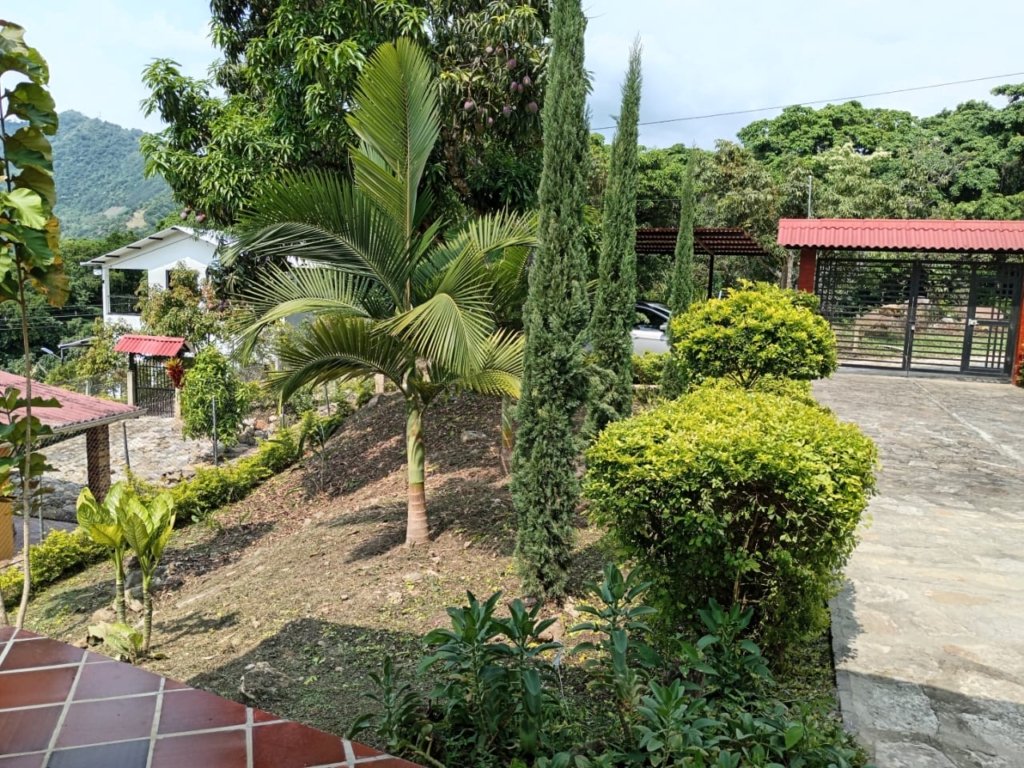 Finca en la vereda San Lorenzo inspección San Javier en La Mesa