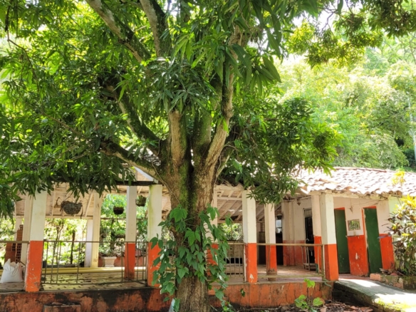 Lote en parcelación en Santa fe de Antioquia