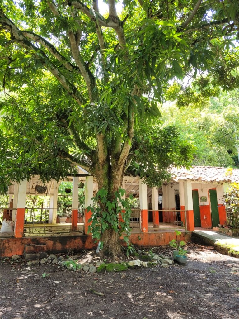 Lote en parcelación en Santa fe de Antioquia