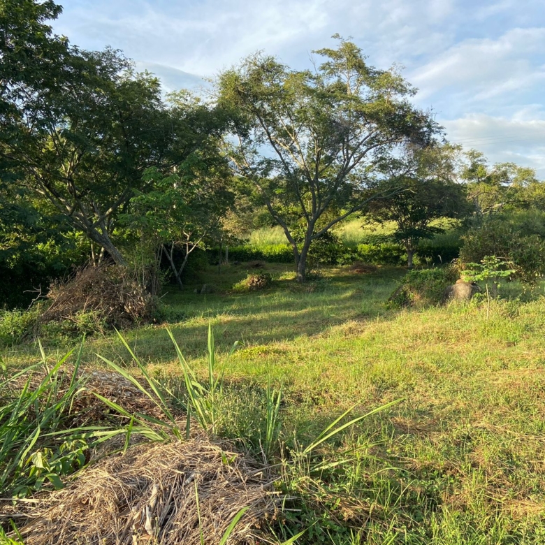 Lote en la Mesa Cundinamarca