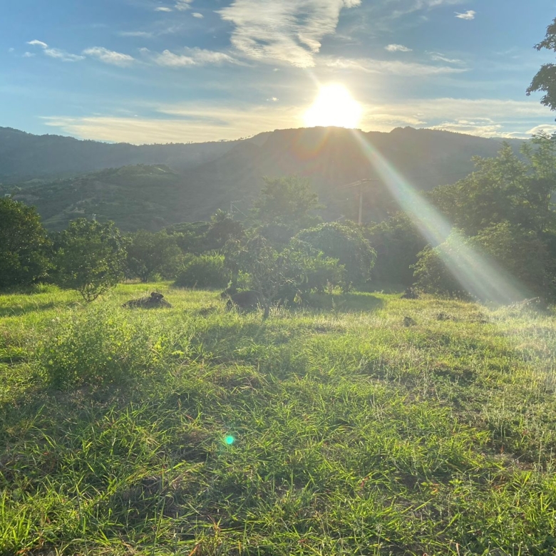 Lote en la Mesa Cundinamarca