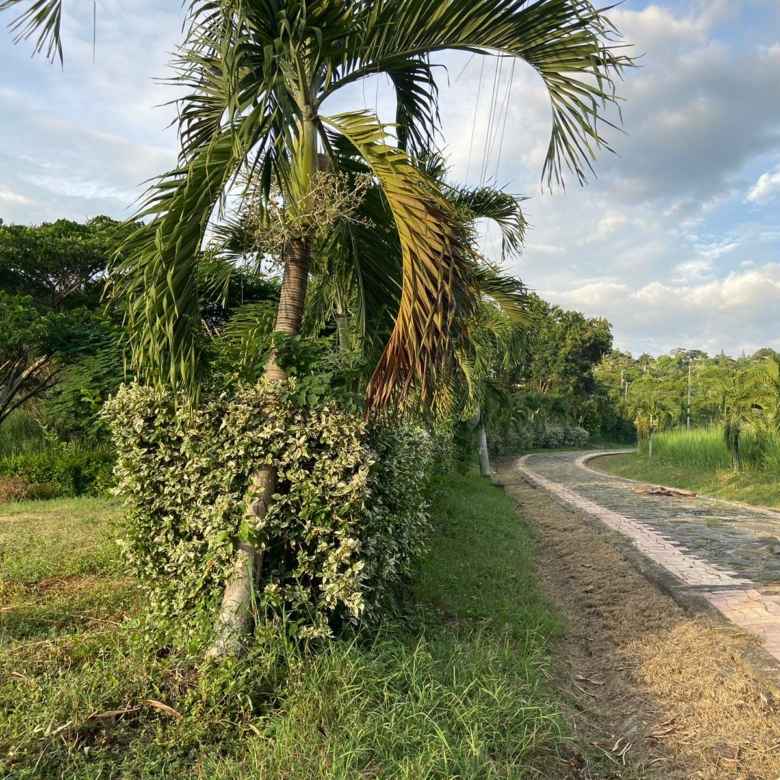 Lote en la Mesa Cundinamarca