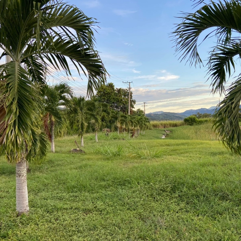 Lote en la Mesa Cundinamarca