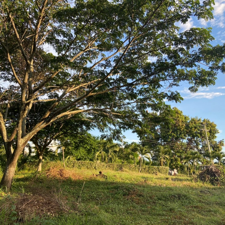 Lote en la Mesa Cundinamarca