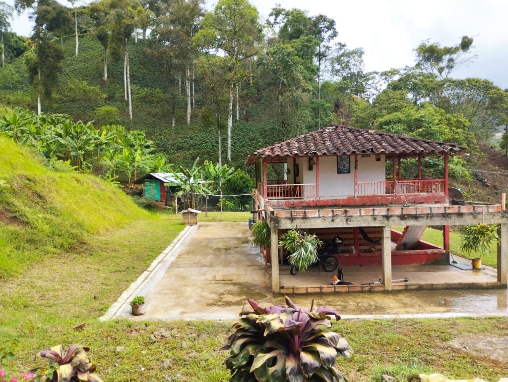 Finca en el municipio de Andes