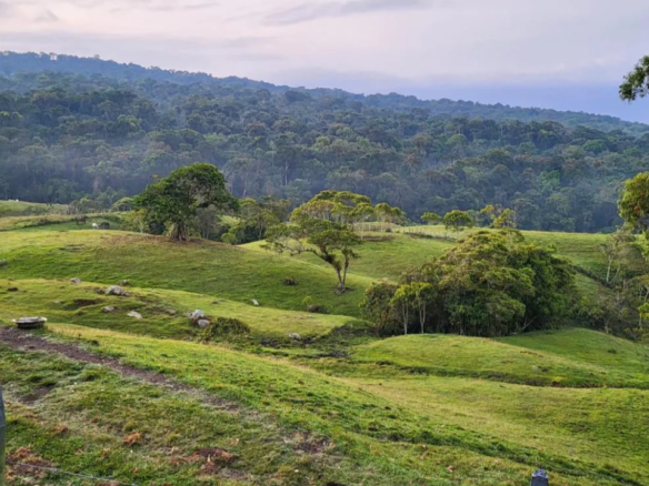 FINCA EN VENTA EN GUADALUPE, SANTANDER