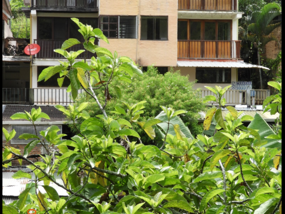 Arriendo casa en La Buitrera de Cali