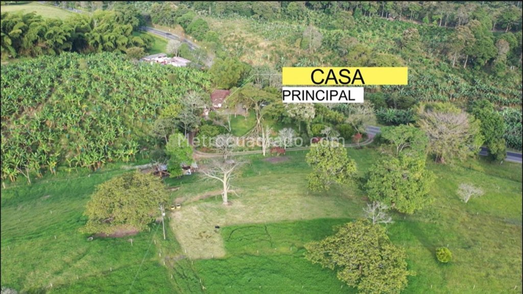FINCA COMBIA