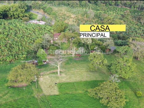 FINCA COMBIA