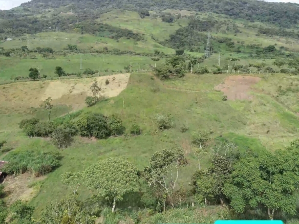 Venta de Parcela y Lotes en Oiba Santander