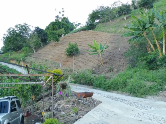 Finca en Ansermanuevo Norte del Valle