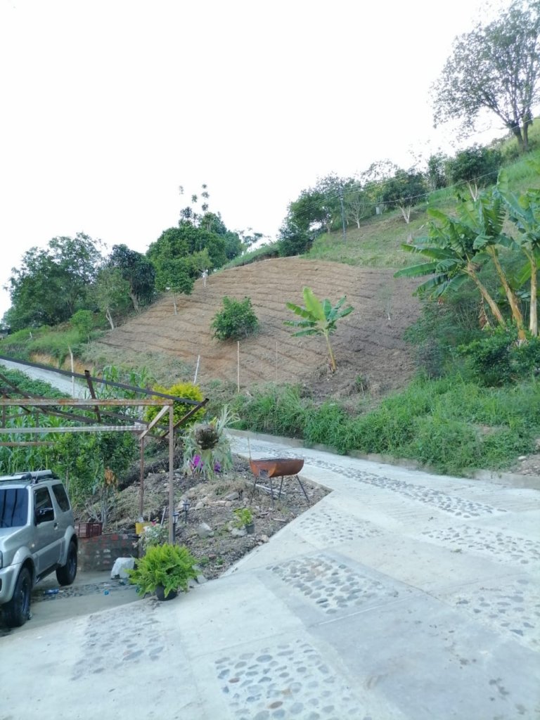 Finca en Ansermanuevo Norte del Valle
