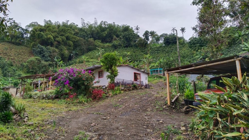 Finca en La Vereda San Bernardo bajo, en Sasaima