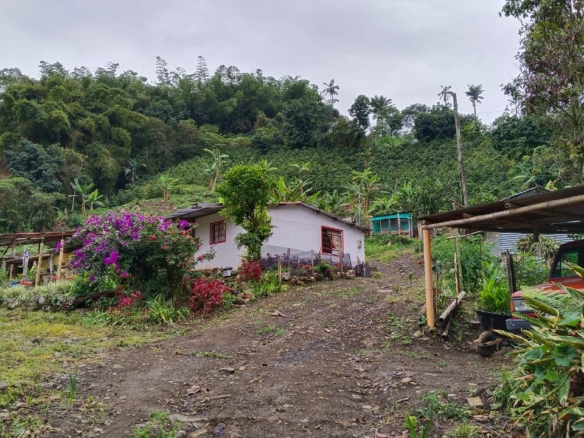 Finca en La Vereda San Bernardo bajo, en Sasaima