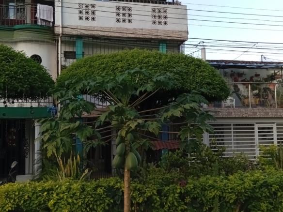 Casa en Villa del Prado Cali