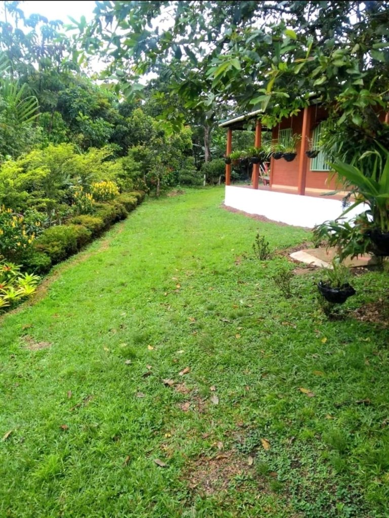 Finca en Aguas Claras – Ocache. Sector de Montañitas