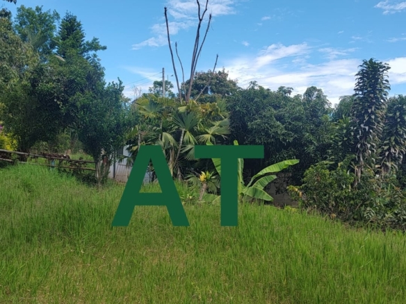 Finca Arbeláez Venta