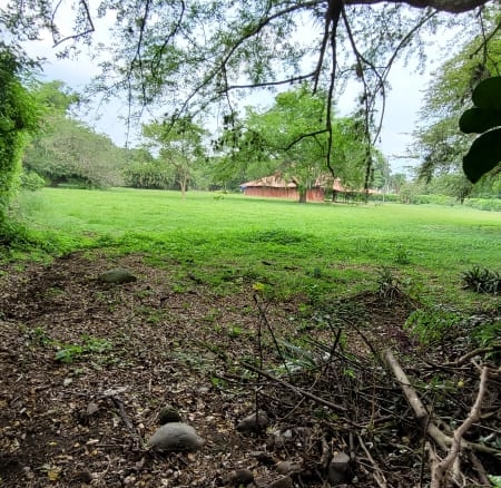LOTE ESQUINERO SECTOR VIA PANAMERICANA