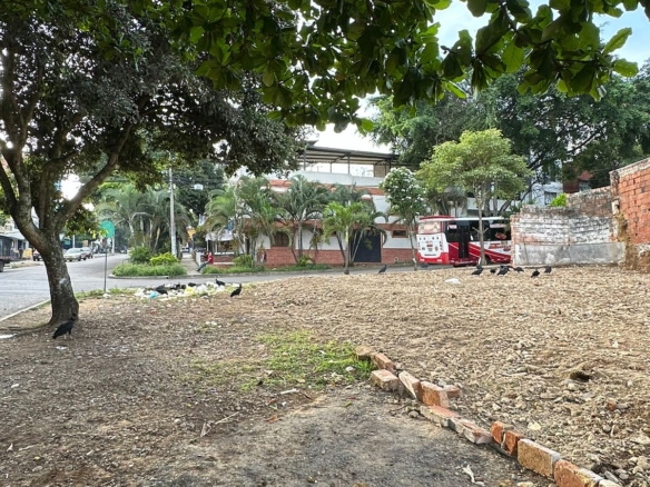 SE VENDE LOTE EN SAN FRANCISCO ESQUINERO 3014390259