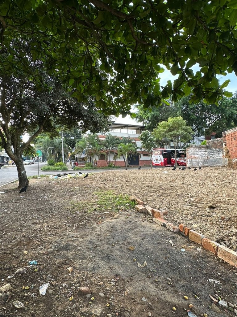 SE VENDE LOTE EN SAN FRANCISCO ESQUINERO 3014390259