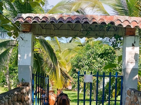 Finca en Cunday Tolima