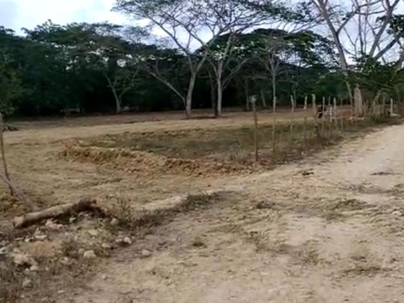Lote en Cartagena frente al campo de golf del Club Campestre