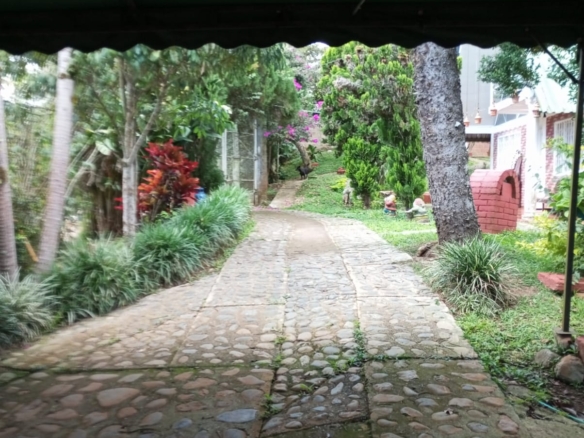 FINCA RECREATIVA Y PRODUCTIVA EL QUEREMAL