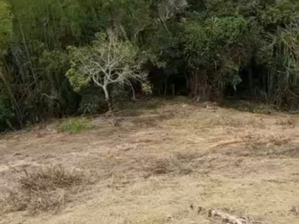 Lote en El Queremal