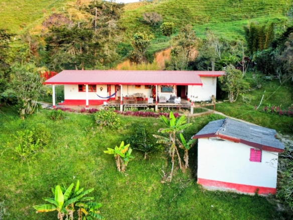 Finca de 40 hectáreas en Santodomingo Antioquia
